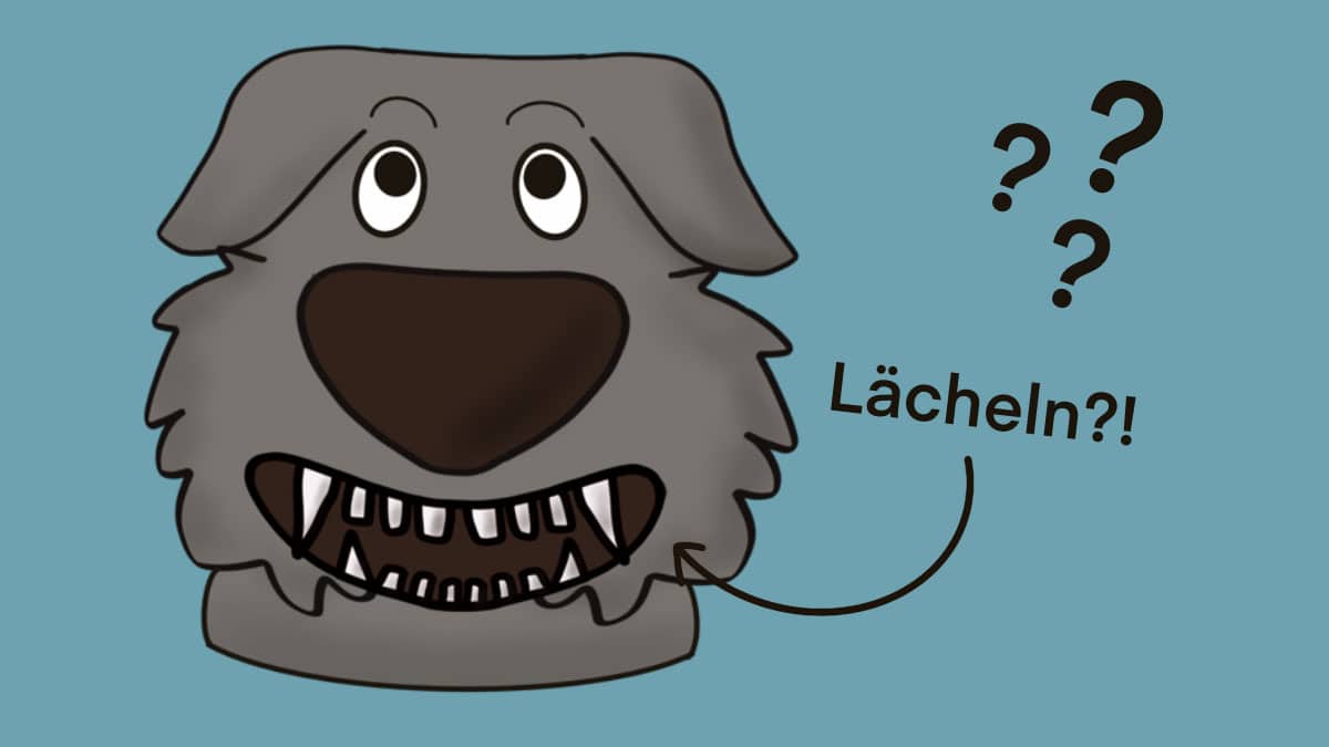 Können Hunde lachen?