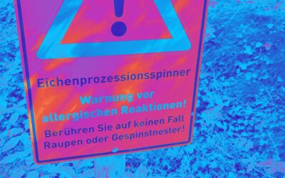 Wie gefährlich sind Eichenprozessionsspinner für Menschen und Hunde?