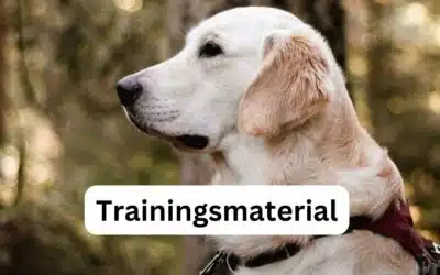 Meine Produktempfehlungen für das Hundetraining